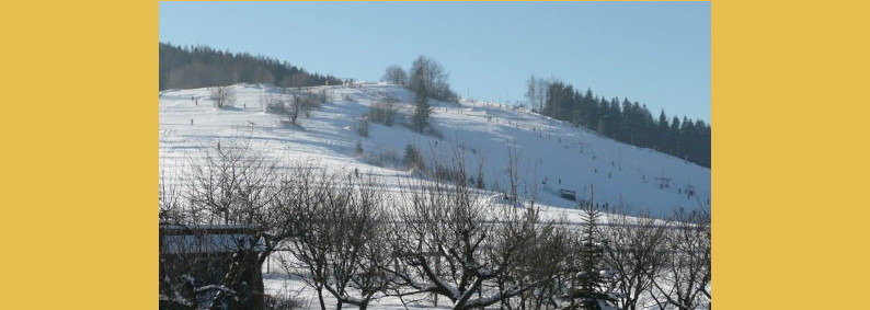 Zawoja-Chata-pod-Kwiatkiem